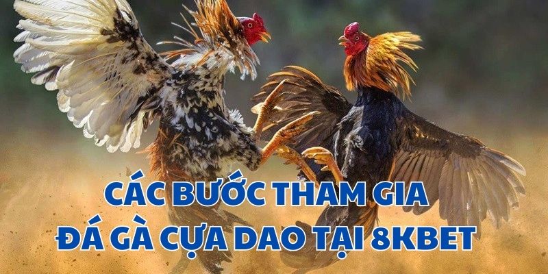 Các bước tham gia cá cược đá gà cựa dao tại 8KBET