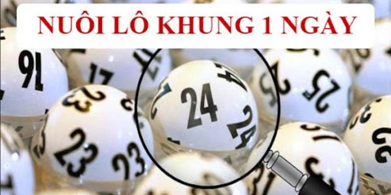 Cách chơi nuôi lô khung 1 ngày mang đến hiệu quả cao